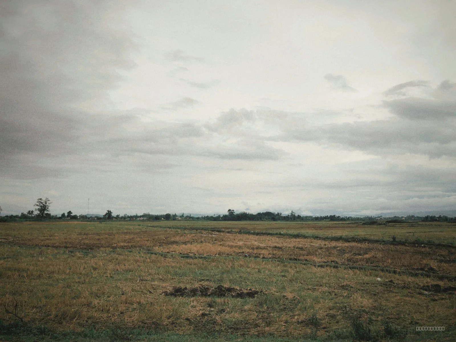 Sample: 10 cents residential plot in Aluva